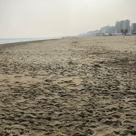 דירה Condominio City